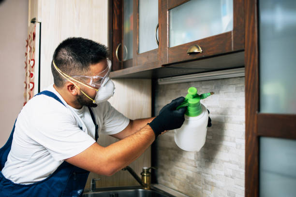 Best Pest Removal Services  in Glen Cove, NY