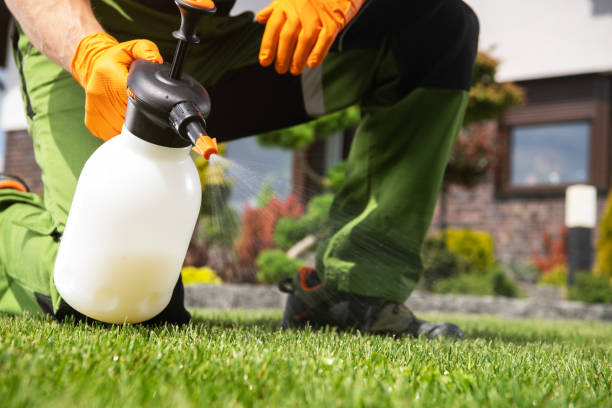 Best Pest Removal Services  in Glen Cove, NY