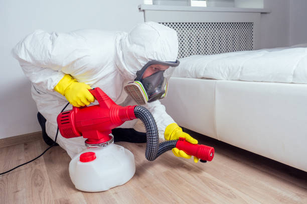 Best Local Pest Control Services  in Glen Cove, NY