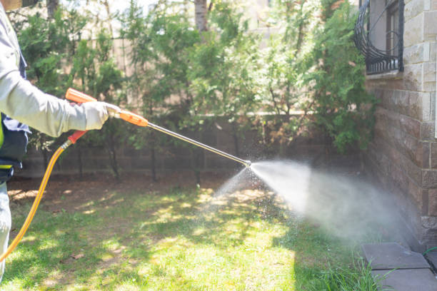 Best Flea Control Services  in Glen Cove, NY