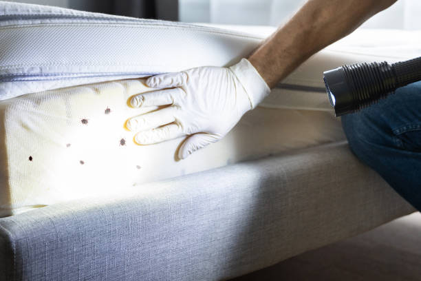 Reliable Glen Cove, NY Pest Control Solutions